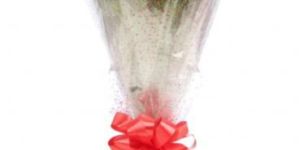 Eternal Love-10 Red Rose