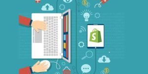 Shopify Private App Development