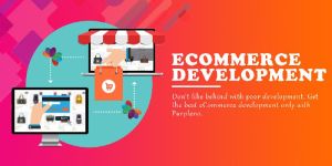E-Commerce Pro-Website Development Services