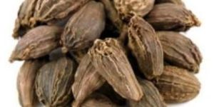 Green and Black Cardamom