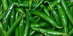 Fresh Green Chilli