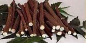 Neem Chew Sticks