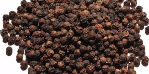 Black Pepper