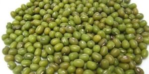 Mung Beans