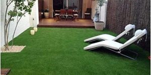 Artificial Grass
