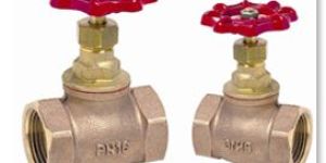 Globe Valve