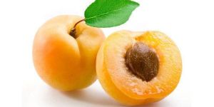 Fresh Apricot