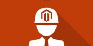 Hire Magento Developer