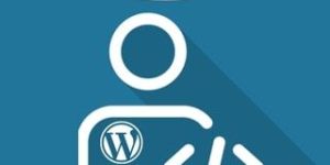 Hire WordPress Developer