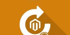 Magento Annual Version Upgrade Service