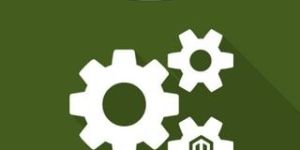 Magento Custom Extension Development Service