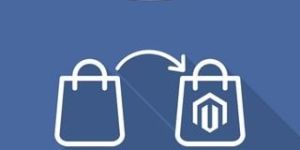 Magento Migration Service
