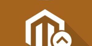 Magento Upgrade Service