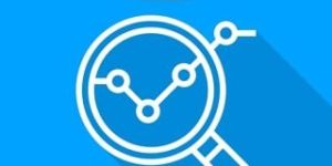 Search Engine Optimization Service