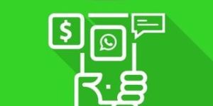 WhatsApp Order Notification Credit & Number Purchase