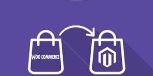 Woocommerce to Magento Migration Service