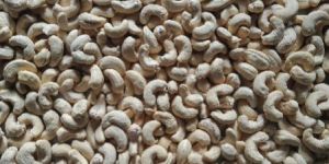 Cashew Kernel