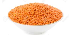 Red Lentil