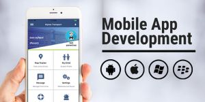 Application Development Services