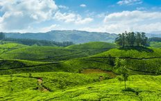 Exotic Kerala Honeymoon Tour Package