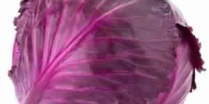 Fresh Red Cabbage