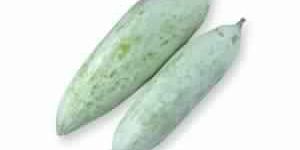 Fresh Snake Gourd