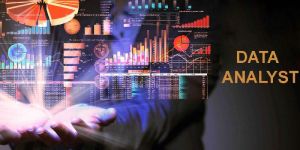 Data Analyst Training Service