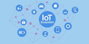 IoT Training Service
