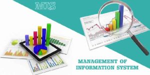 Mis Training Service