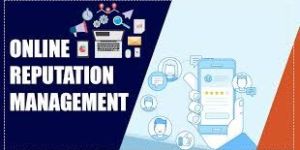 Online Reputation Management Services