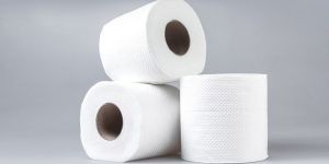 Toilet Tissue Rolls