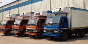 Cold Chain Transportation Services