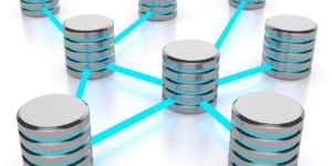 Database Management Services