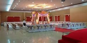 Wedding Party Lawn Service