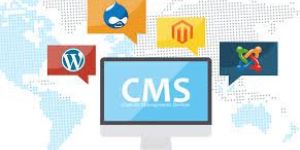 Cms Development Services