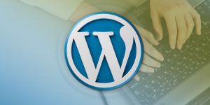 Wordpress Development Services