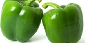 Fresh Capsicum