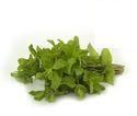 Fresh Mint Leaves