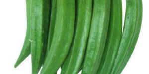 Okra