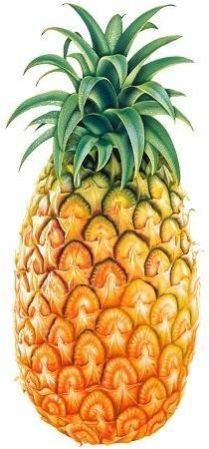 Fresh Pineapple