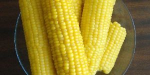 Sweet Corn