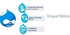 Drupal Website Development Services