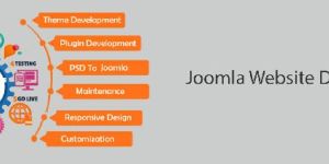Joomla Website Development Services