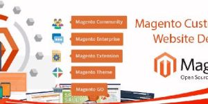 Magento Website Development Services