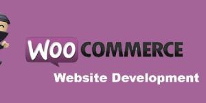 Wordpress E-Commerce Development Services