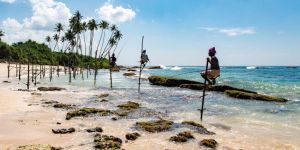 Sri Lanka Tour Package