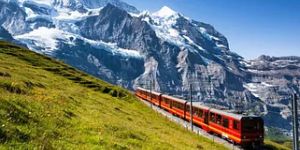 Domestic Tour Service