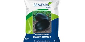 Watermelon - BLACK HONEY