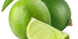 Fresh Lemon