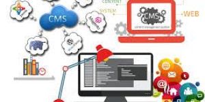 CMS Solution Services